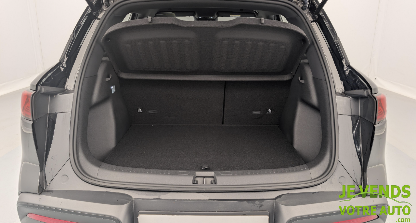 BYD ATTO 2