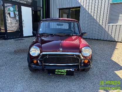 MINI ROVER MINI 1000