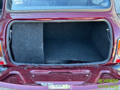 MINI ROVER MINI 1000