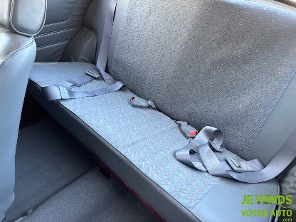 MINI ROVER MINI 1000