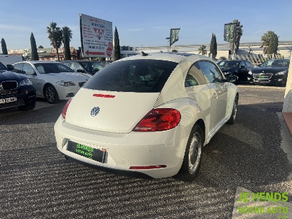 VOLKSWAGEN Coccinelle